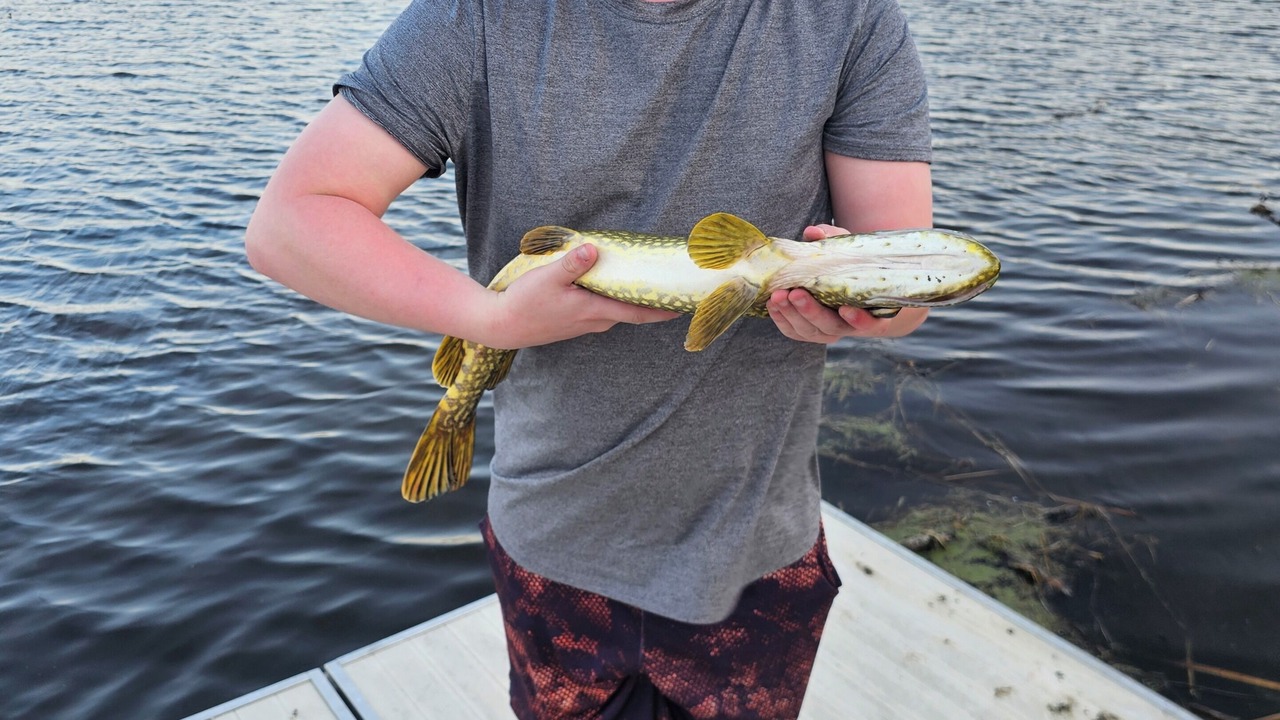 Photo of Others in Pine River