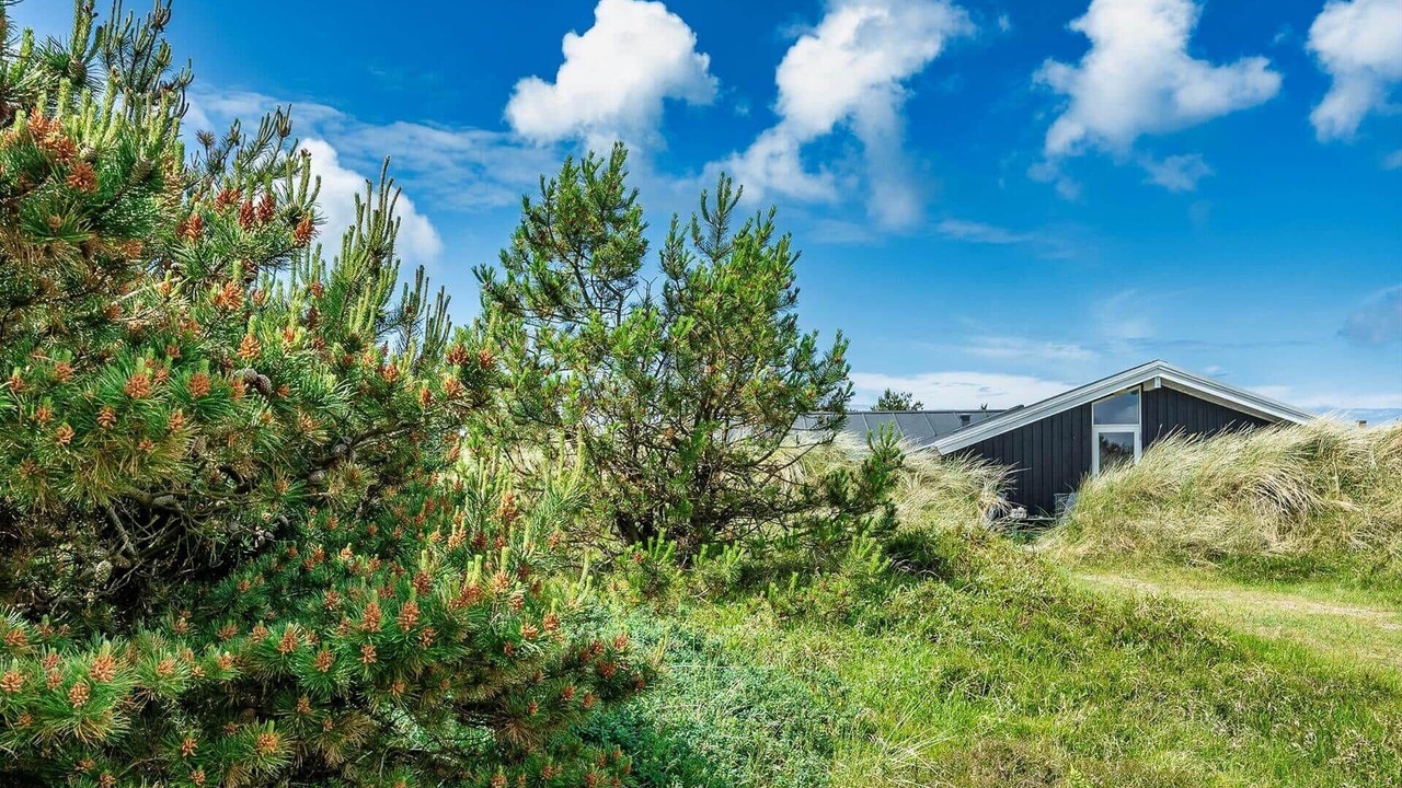 Photo of Outdoor in Grærup Strand