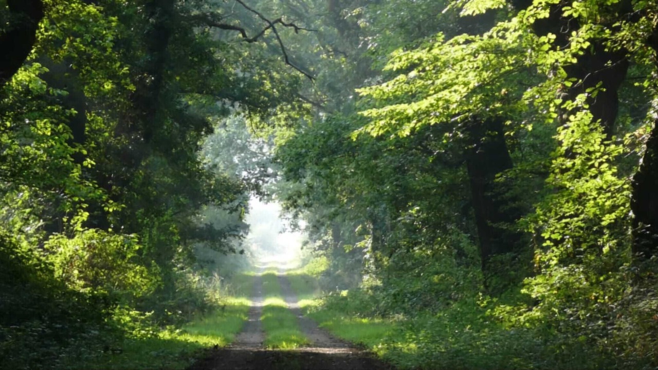 Photo of Others in Saint-Lyphard