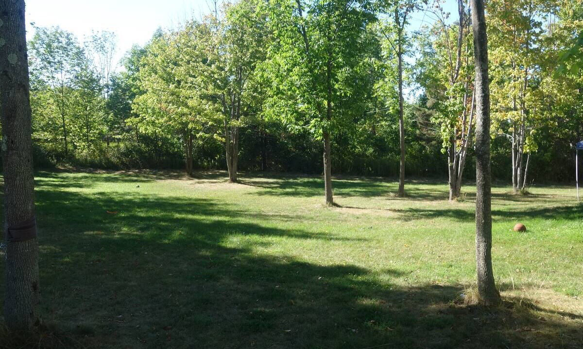 Photo of Others in South Hill