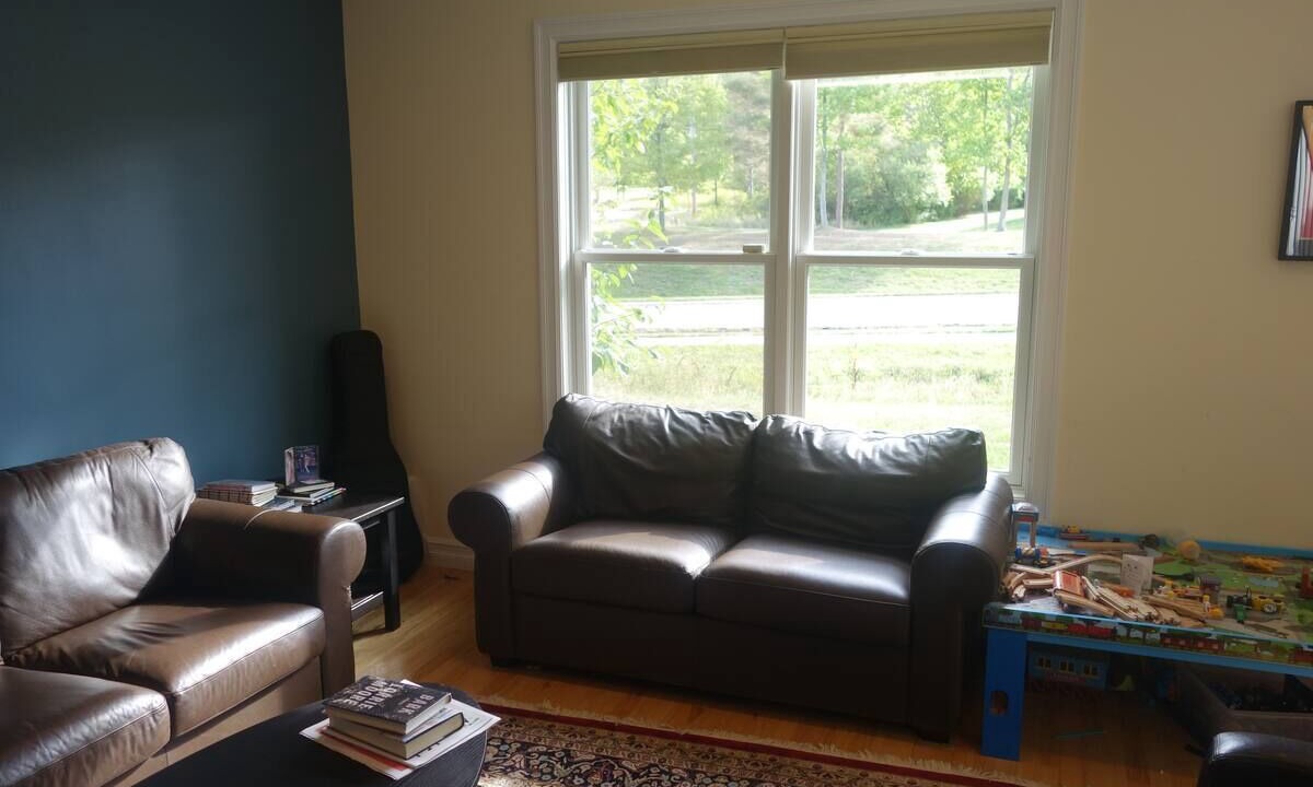 Photo of Livingroom in South Hill