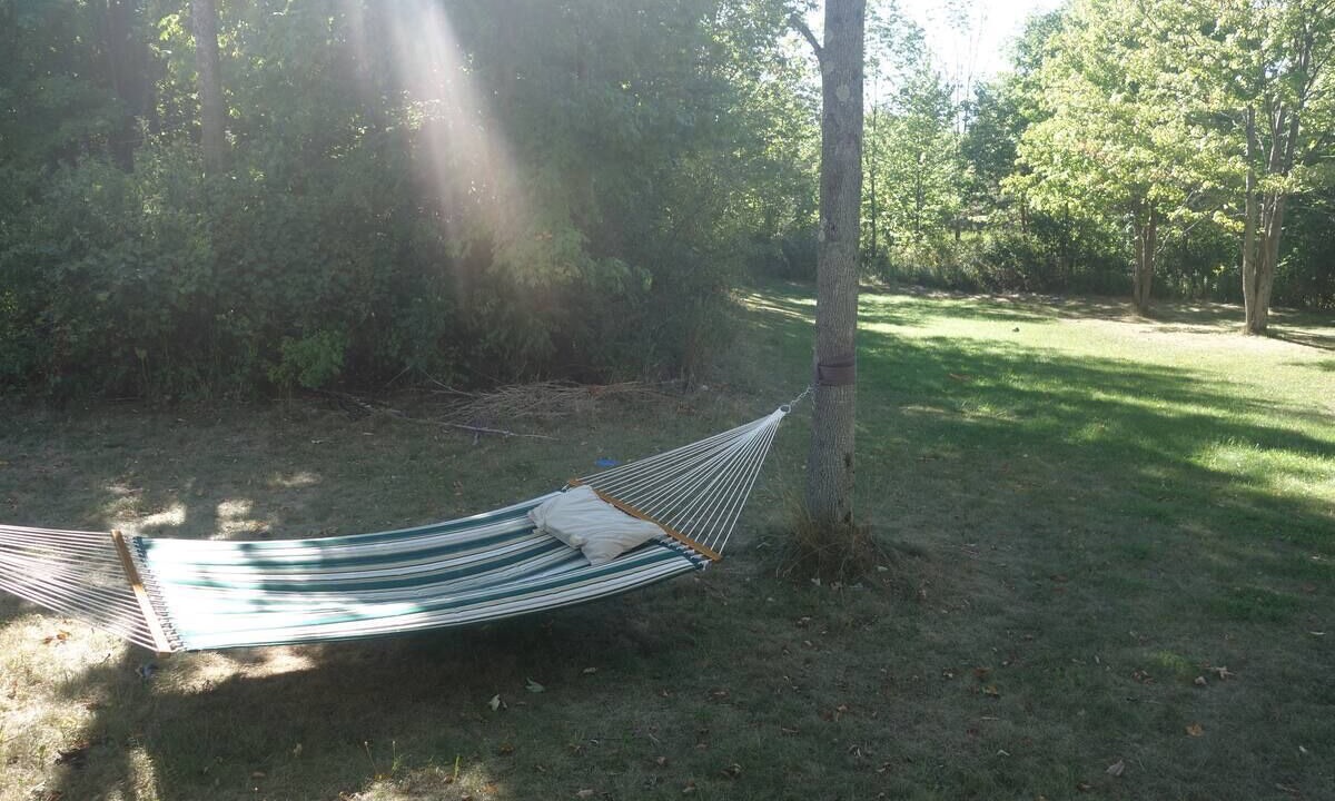 Photo of Outdoor in South Hill