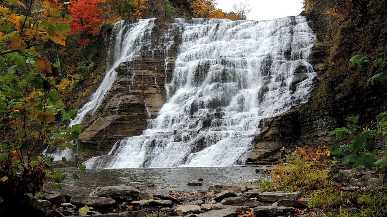 Photo of Others in Ithaca