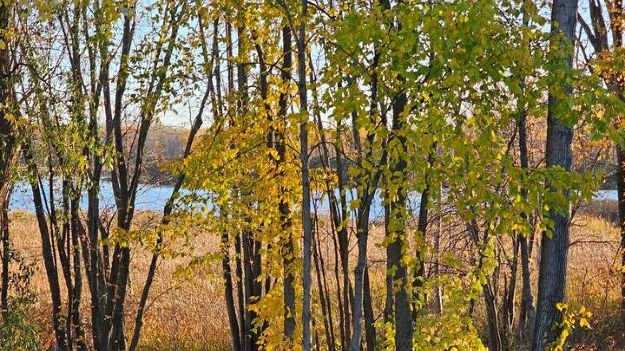 Photo of Others in Gatineau