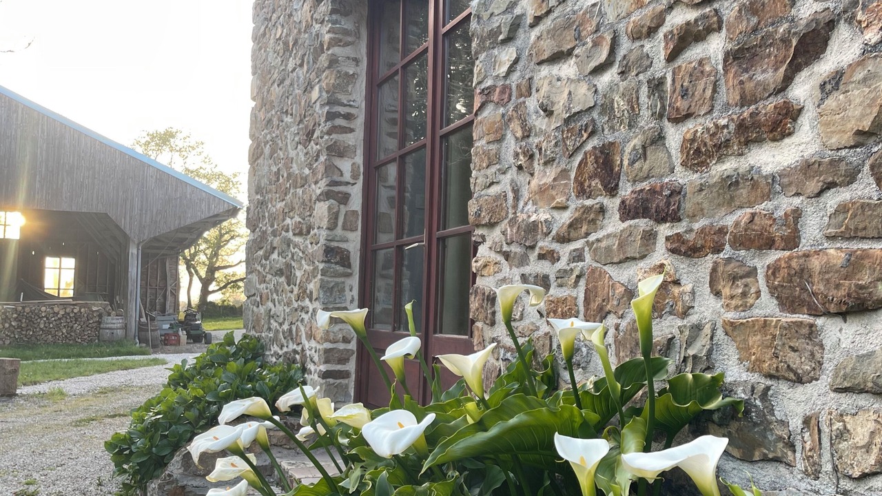 Photo of Outdoor in Telgruc-sur-Mer