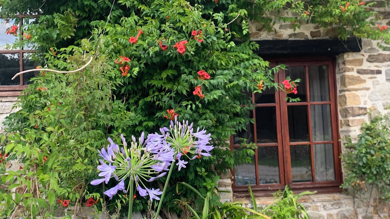 Photo of Outdoor in Telgruc-sur-Mer
