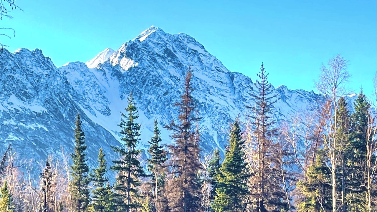 Photo of Others in Butte