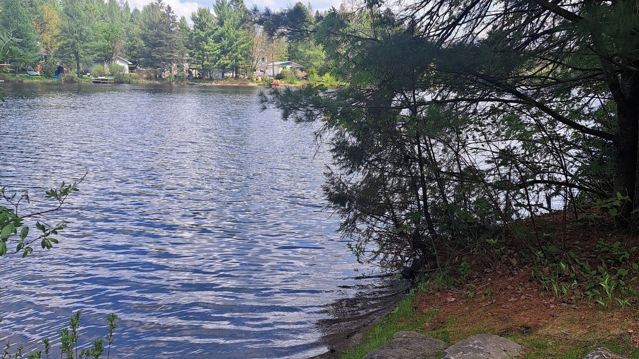 Photo of Others in Saint-Alphonse-Rodriguez