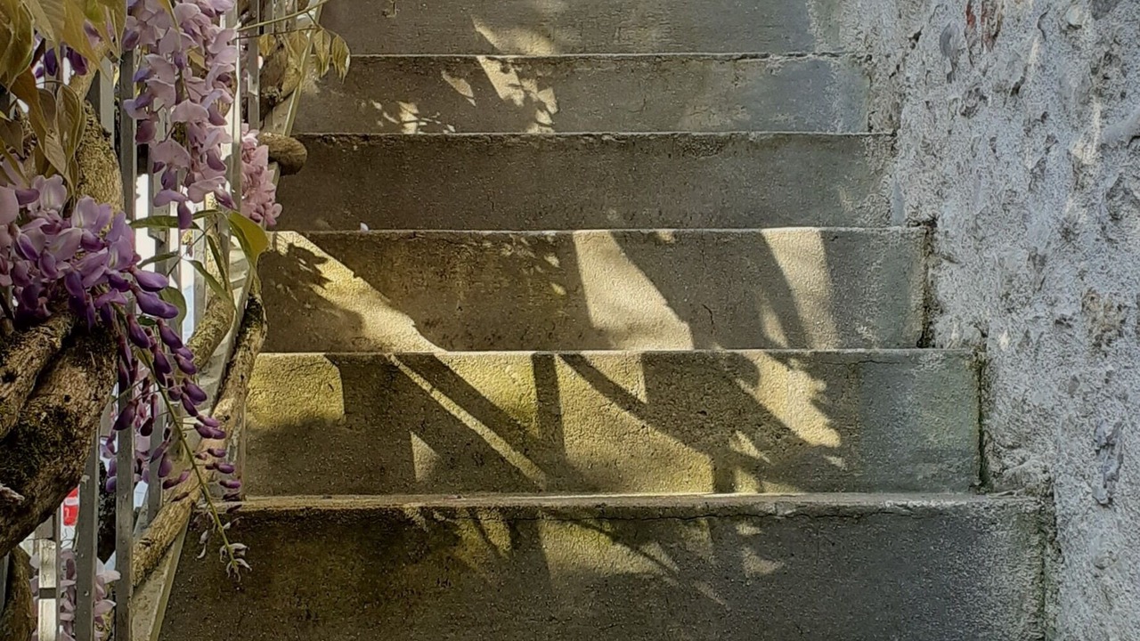Photo of Outdoor in Champagne-Saint-Hilaire