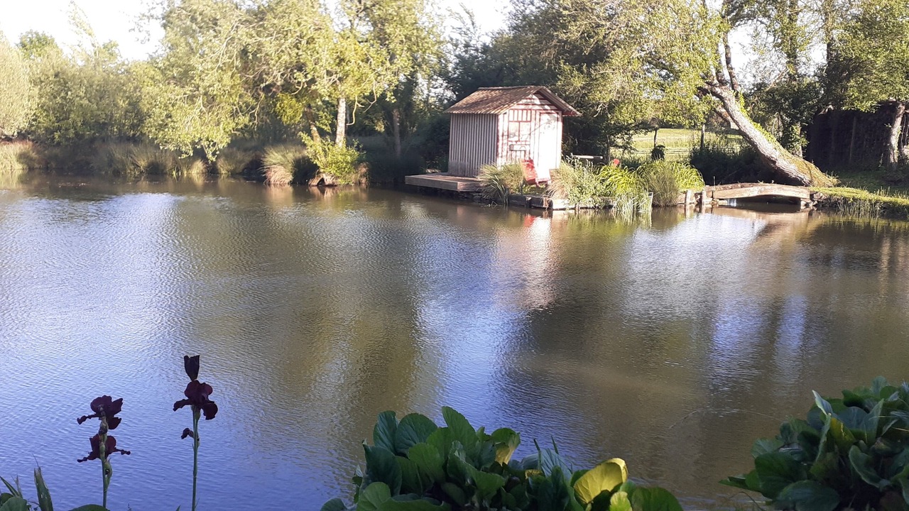 Photo of Outdoor in Champagne-Saint-Hilaire