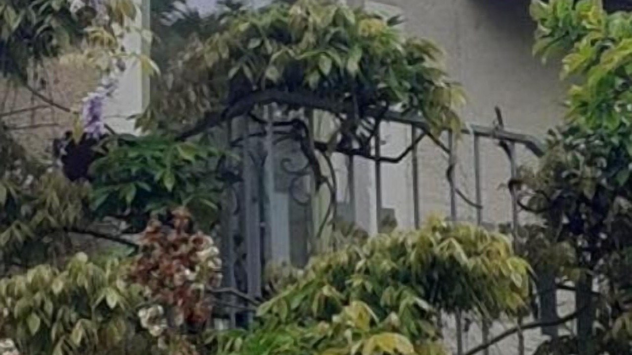 Photo of Outdoor in Champagne-Saint-Hilaire