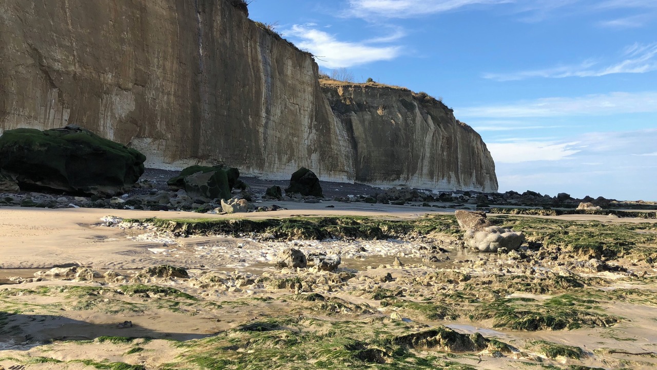 Photo of Others in Terroir de Caux
