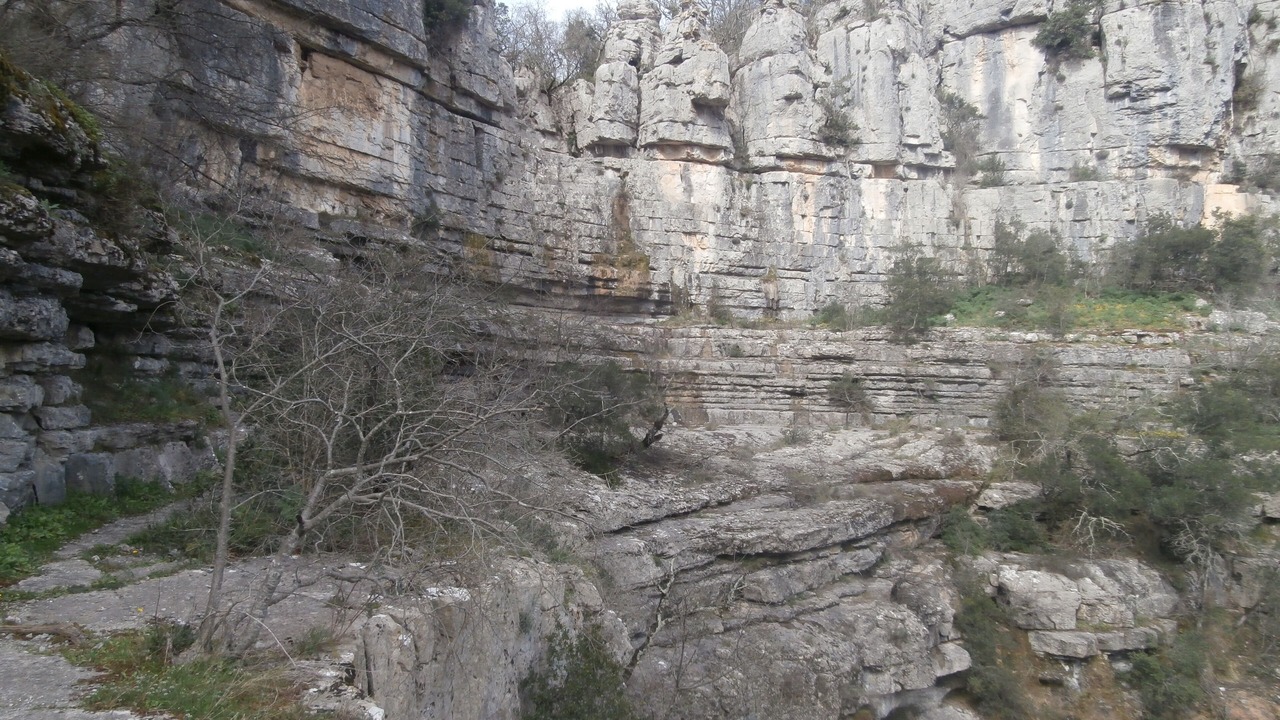 Photo of Others in Saint Alban Auriolles