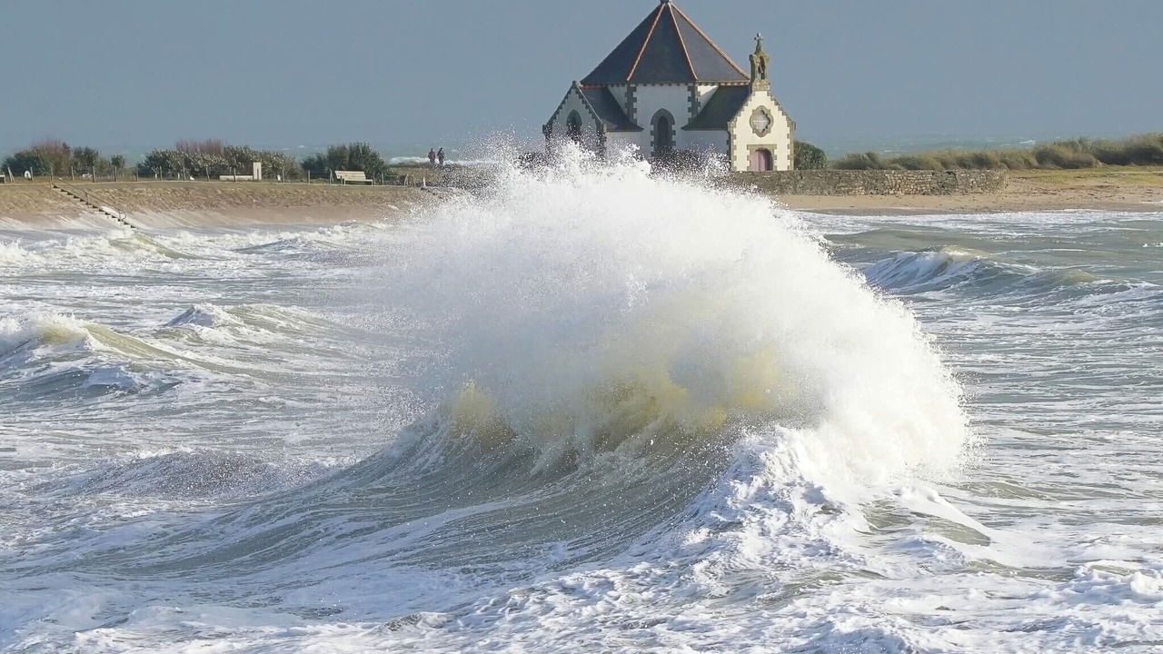 Photo of Others in Penvins