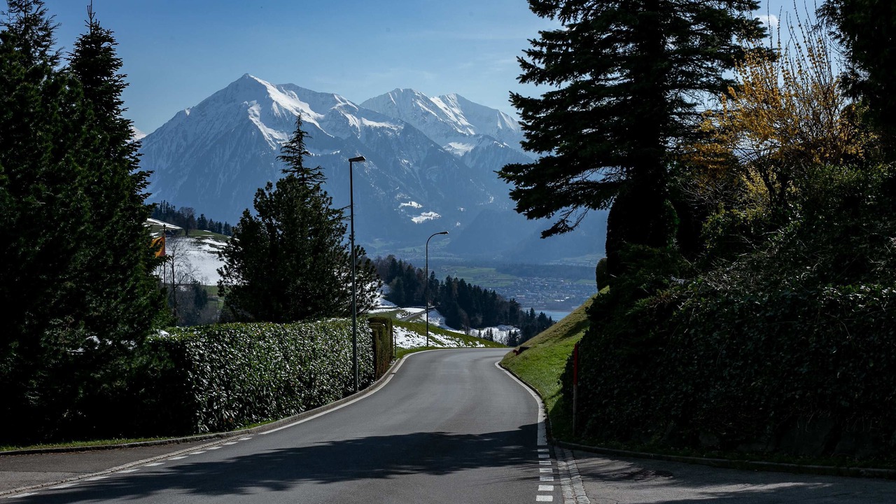 Photo of Others in Goldiwil