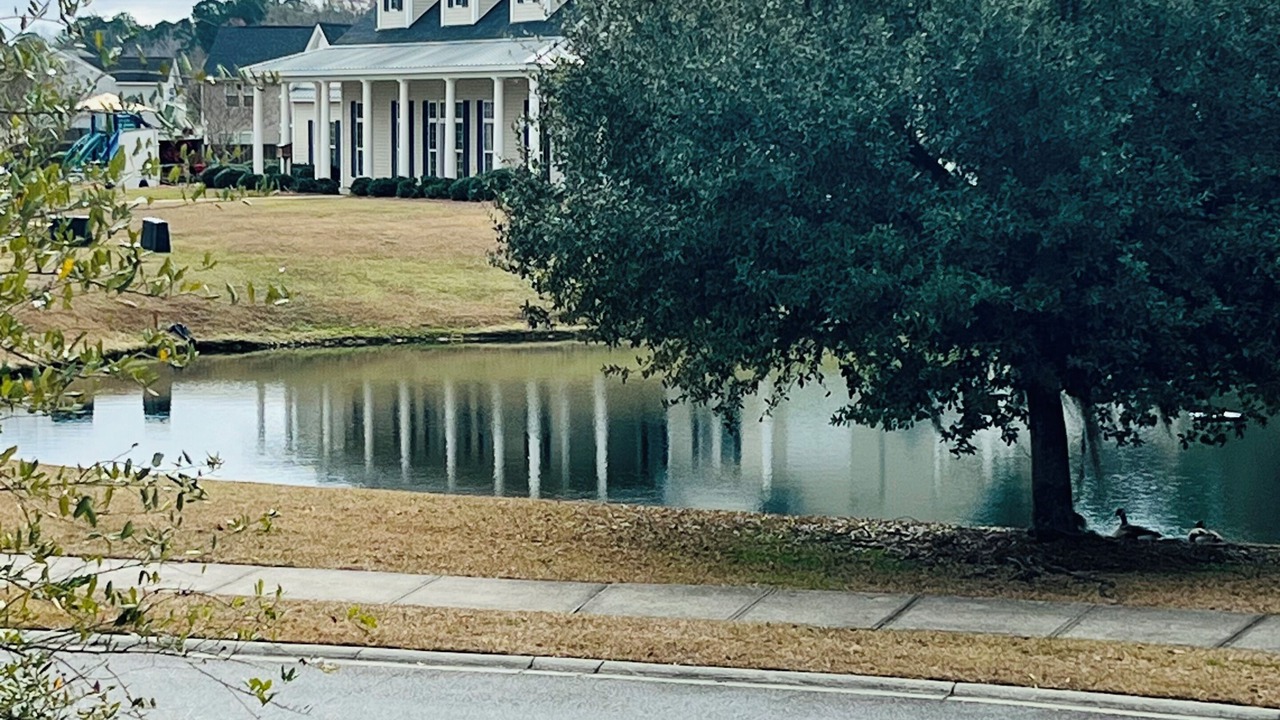 Photo of Others in Port Wentworth