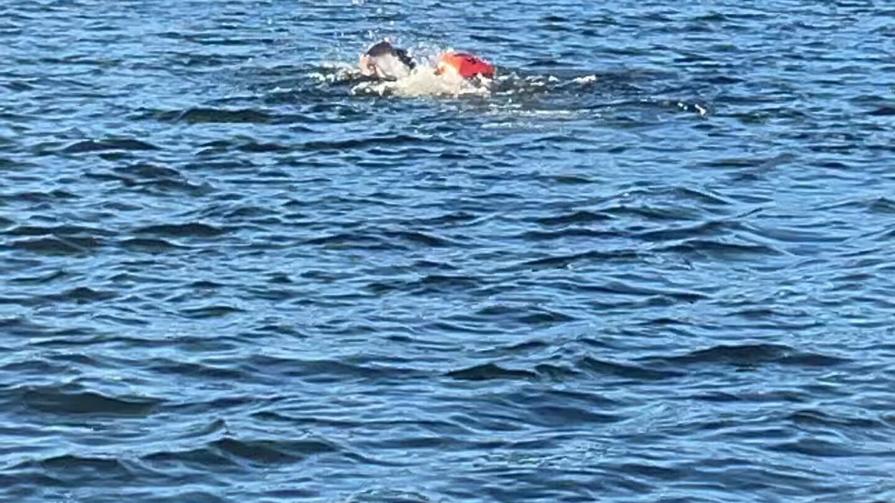 Photo of Others in Milford