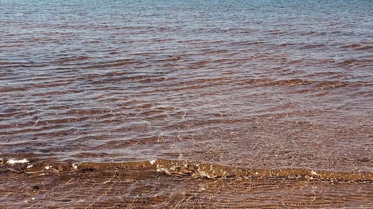 Photo of Others in Sherkston