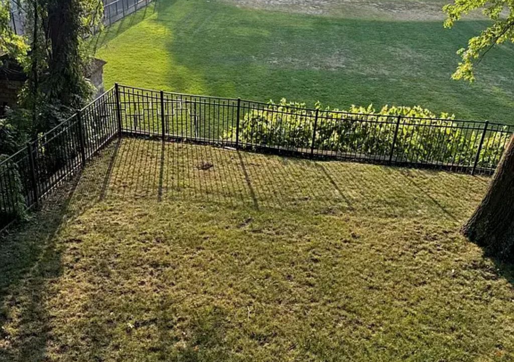 Photo of Outdoor in Squirrel Hill South