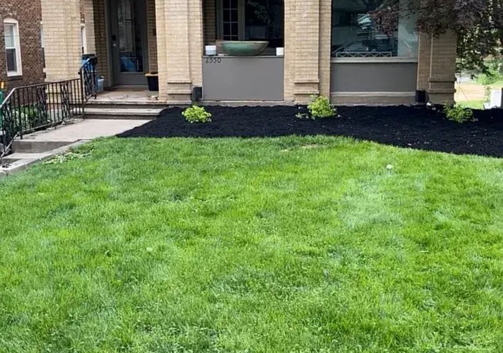 Photo of Outdoor in Squirrel Hill South