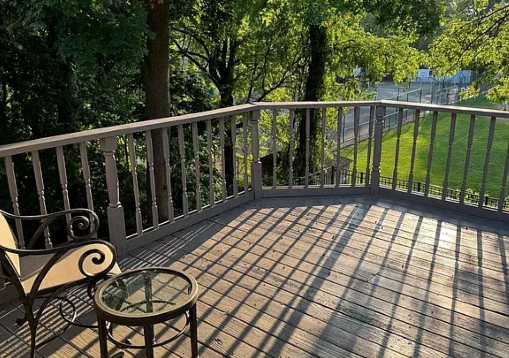 Photo of Patio Balcony in Squirrel Hill South
