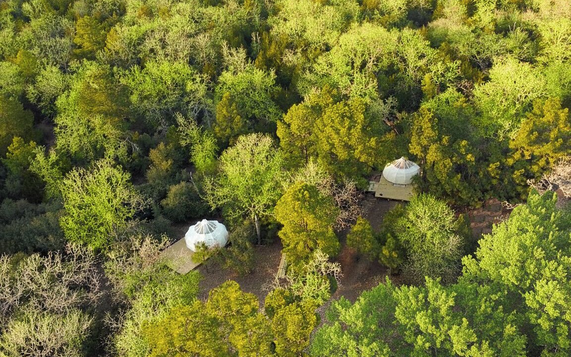 Photo of Outdoor in Smithville