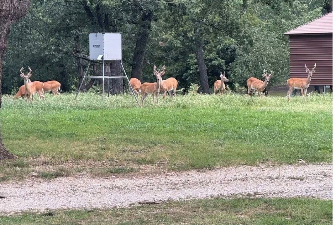 Photo of Others in Jay