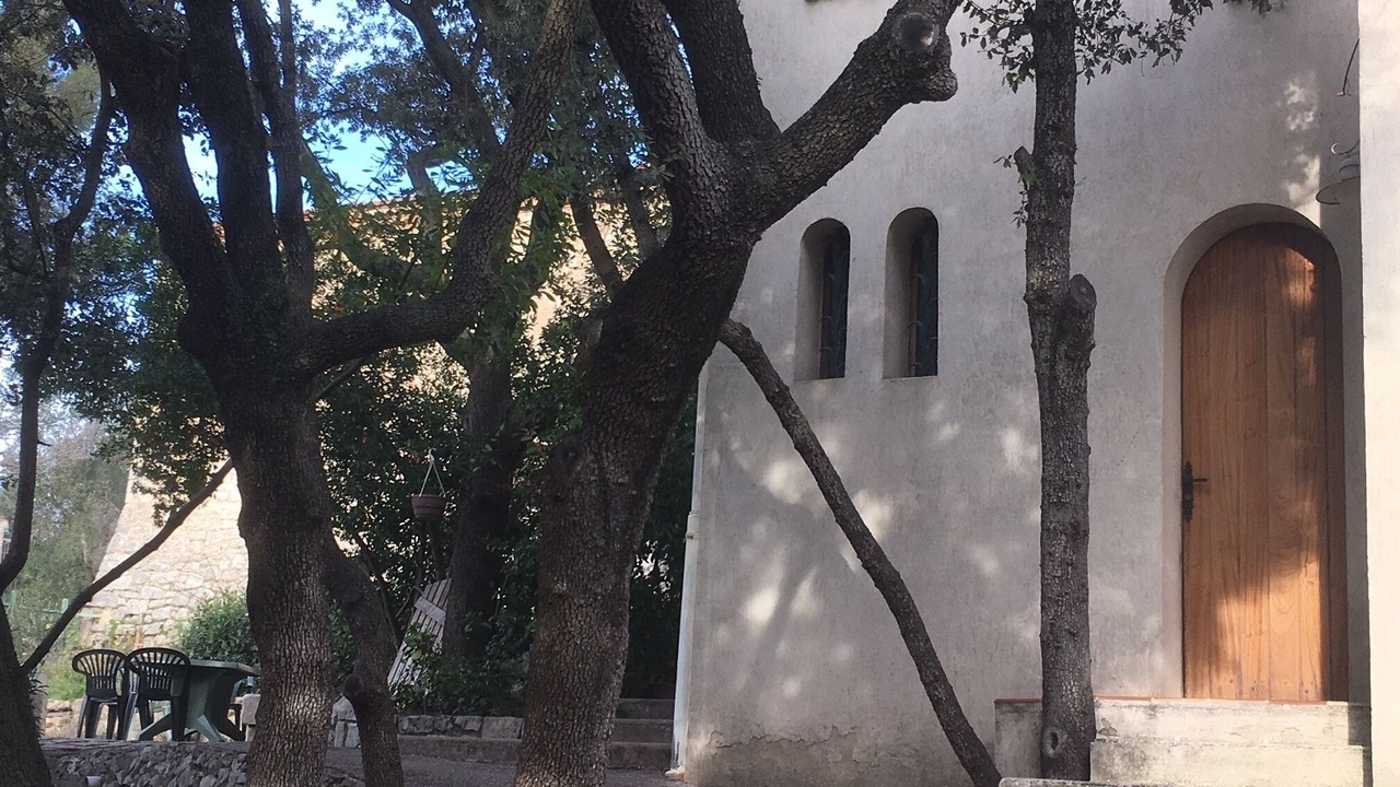Photo of Outdoor in Cournonsec