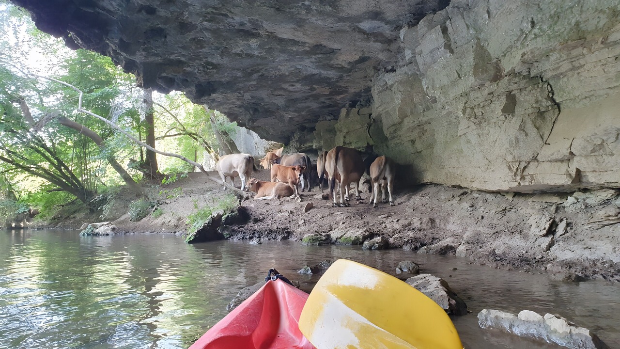 Photo of Others in Boussac