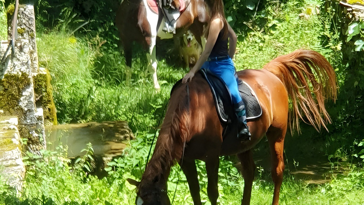 Photo of Others in Boussac