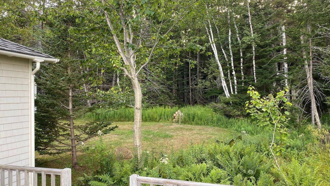 Photo of Outdoor in Islesford