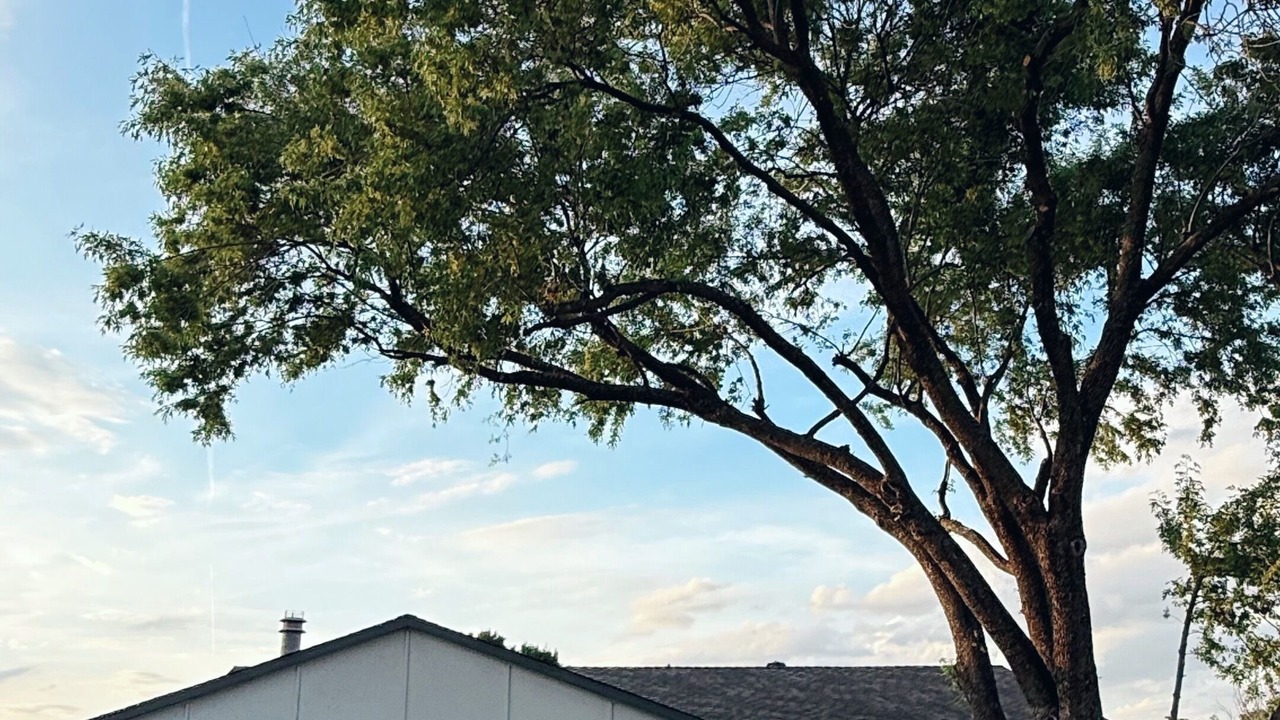 Photo of Outdoor in The Colony
