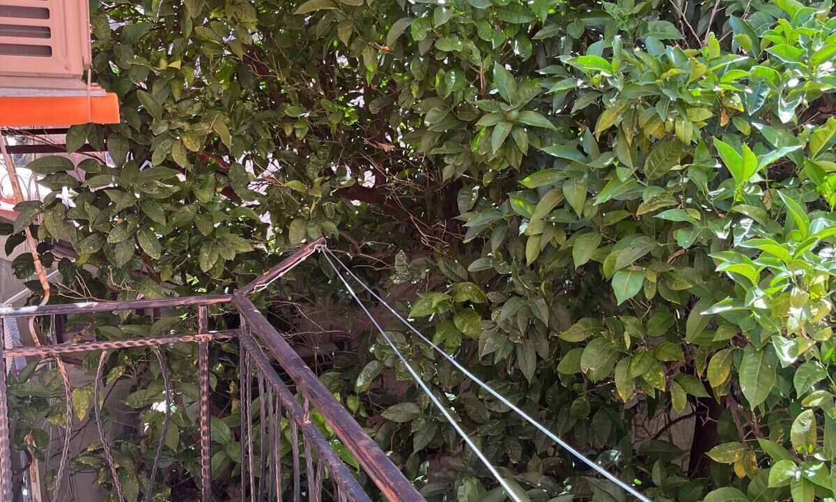 Photo of Outdoor in Cove Tri Zala (Zrnovo)