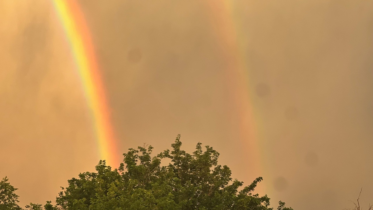 Photo of Others in Amarillo