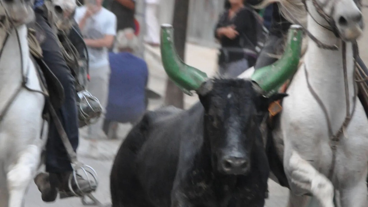 Photo of Others in Aubais