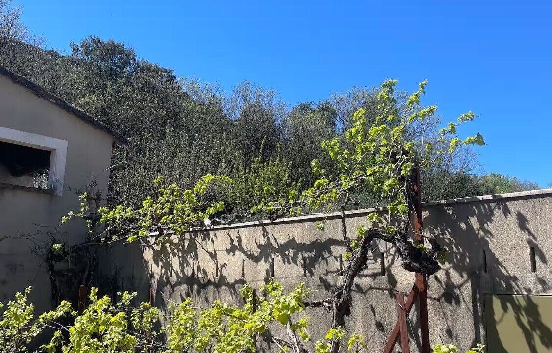 Photo of Outdoor in Saint-Hippolyte-du-Fort