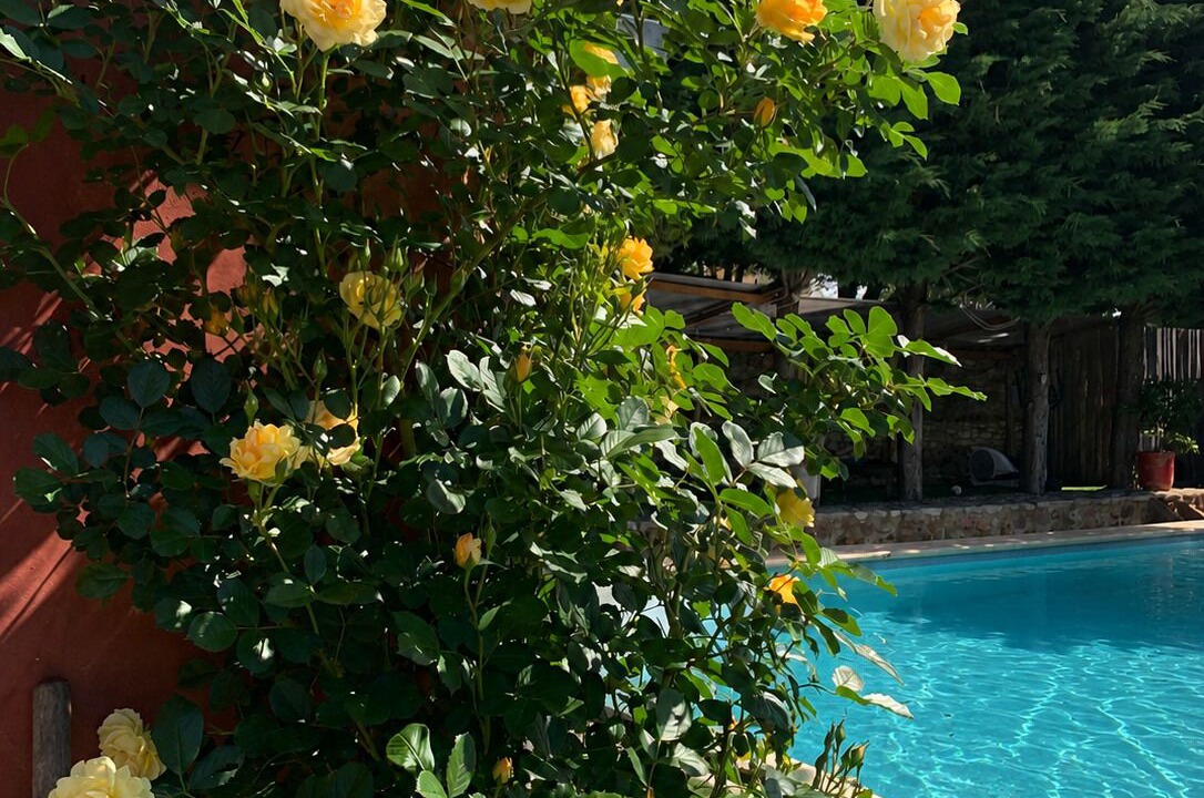 Photo of Outdoor in La Bruguiere