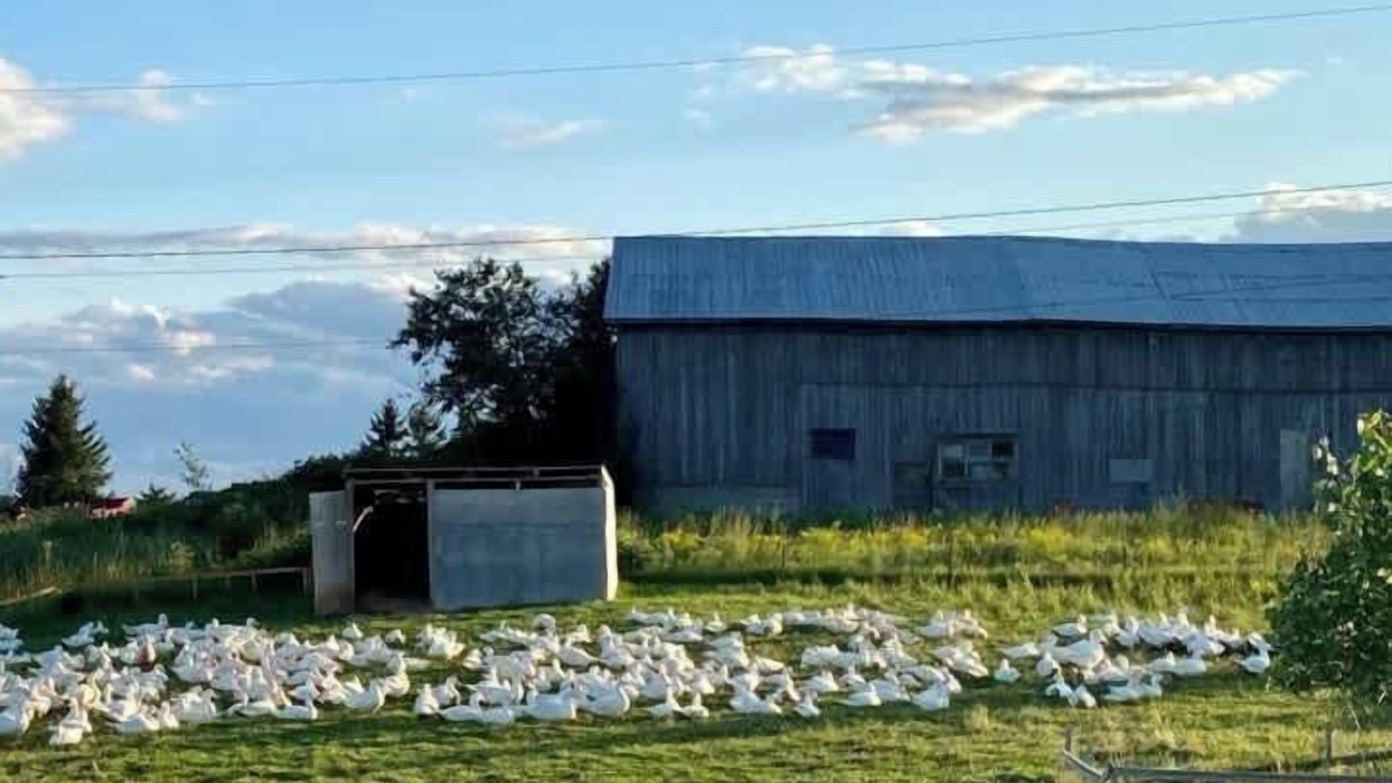 Photo of Others in Saint-Tite-des-Caps
