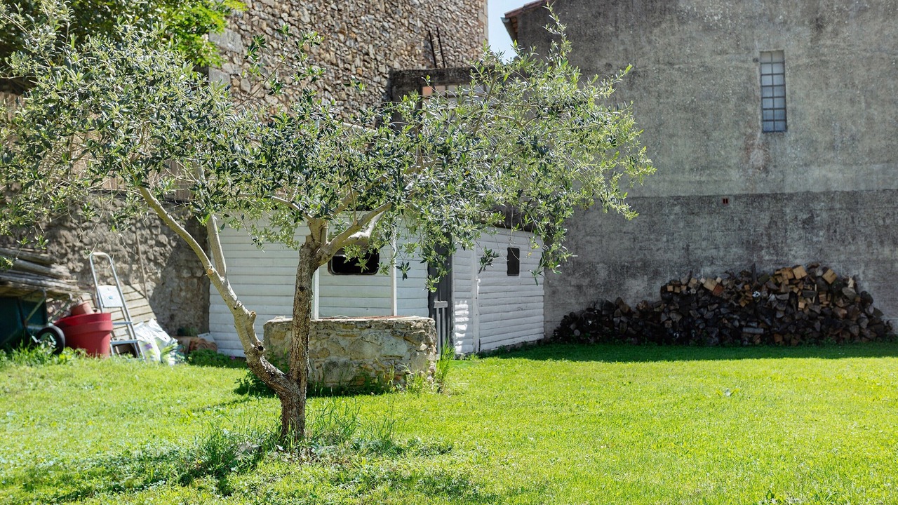 Photo of Outdoor in Saturargues