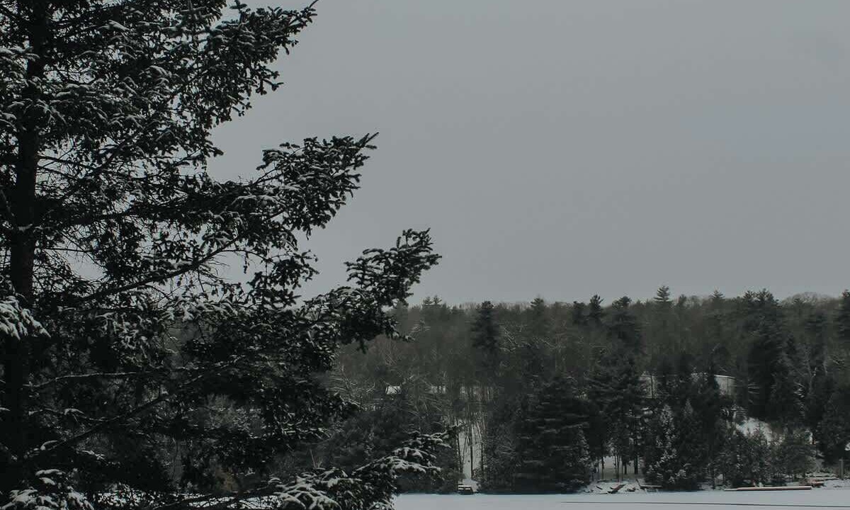 Photo of Others in Greater Madawaska