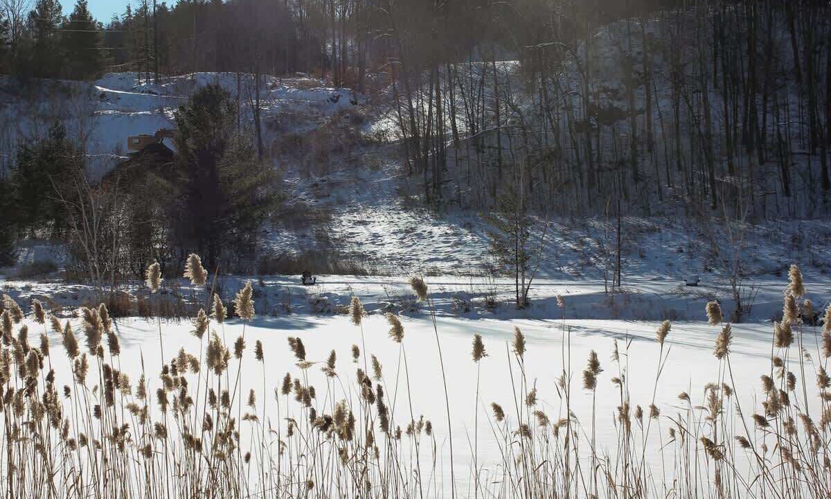 Photo of Others in Calabogie