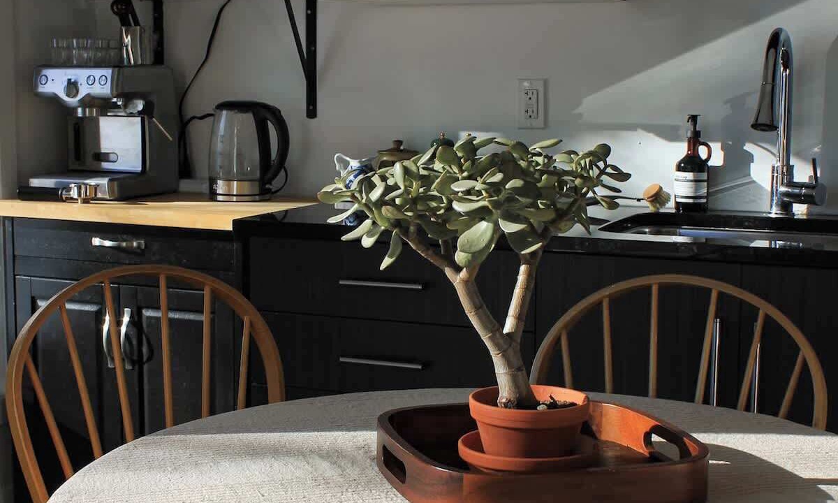Photo of Kitchen in Calabogie