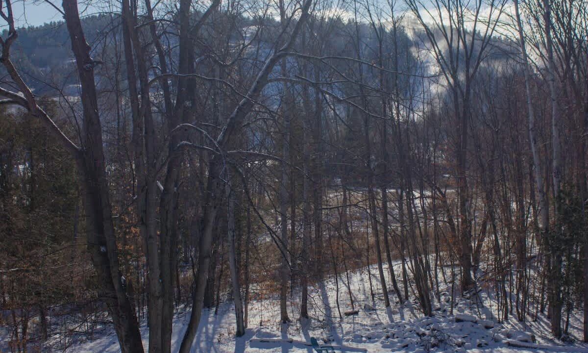 Photo of Outdoor in Calabogie