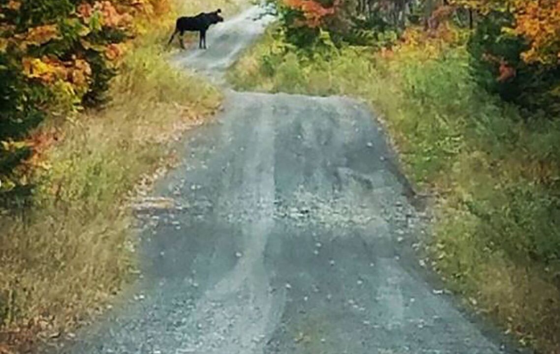 Photo of Others in Quimby
