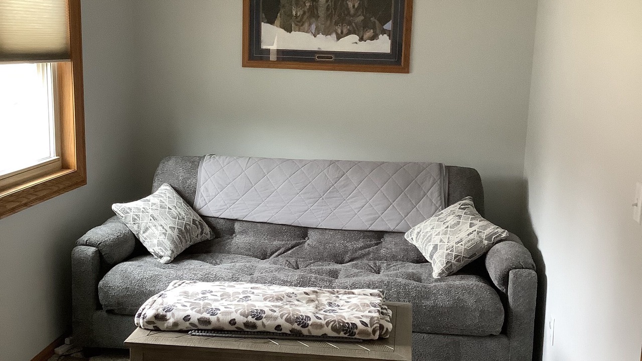 Photo of Livingroom in Bemidji