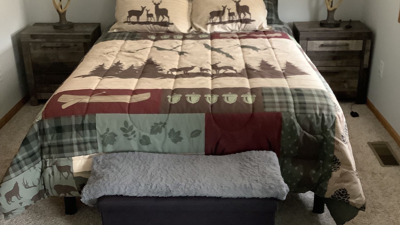 Photo of Bedroom in Bemidji