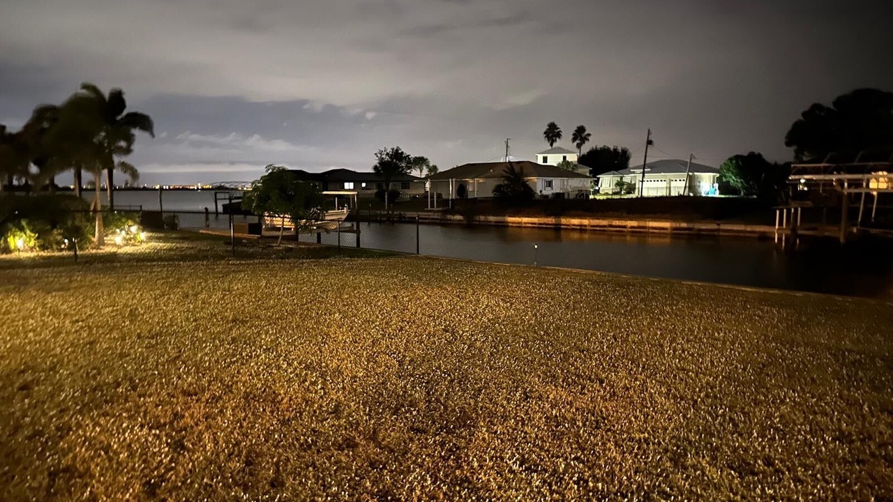 Photo of Others in Gulf Cove