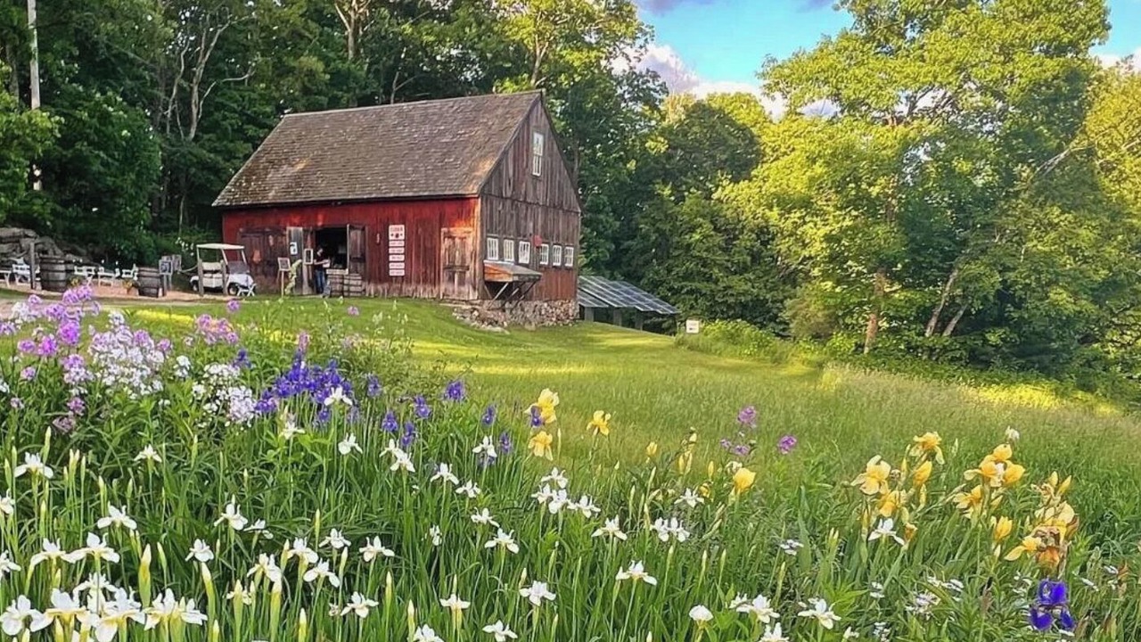 Photo of Outdoor in New Salem