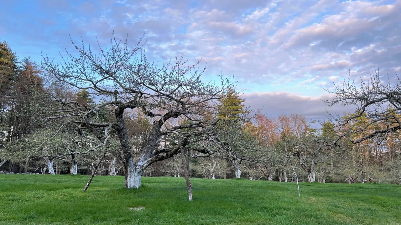 Photo of Others in New Salem