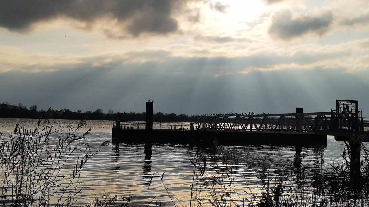 Photo of Others in Bourg-sur-Gironde
